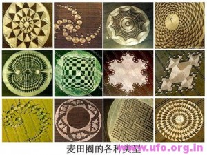麦田圈的各种类型 alien-evidence-1