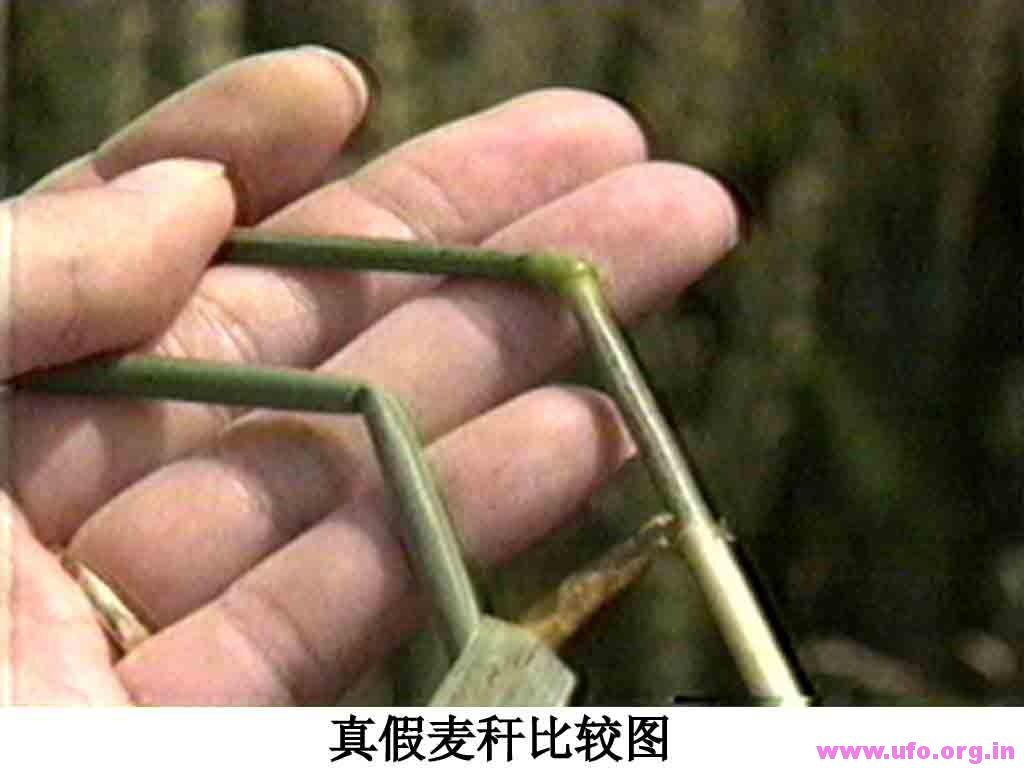 证明外星人存在的证据:麦田怪圈是100%真实存在外星人的证据的图片 alien-evidence-7