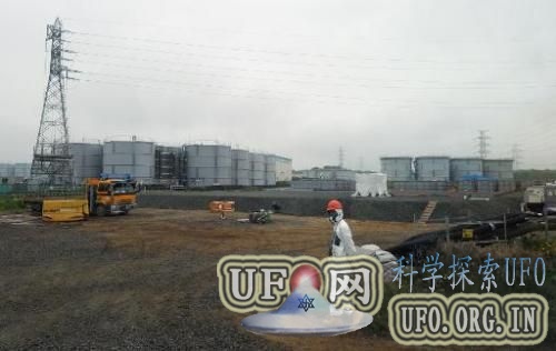 日本研究称福岛辐射对公牛精子无影响