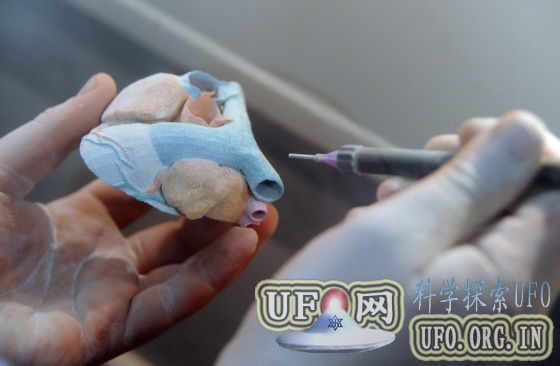 3D生物打印开启造物新纪元：打印器官移植