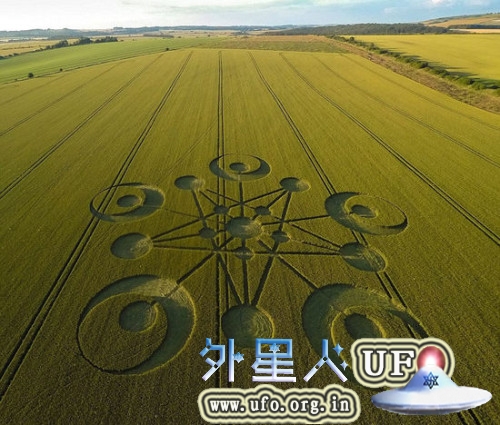 2014年首个英国麦田怪圈现身多塞特郡(麦田圈长约122米)