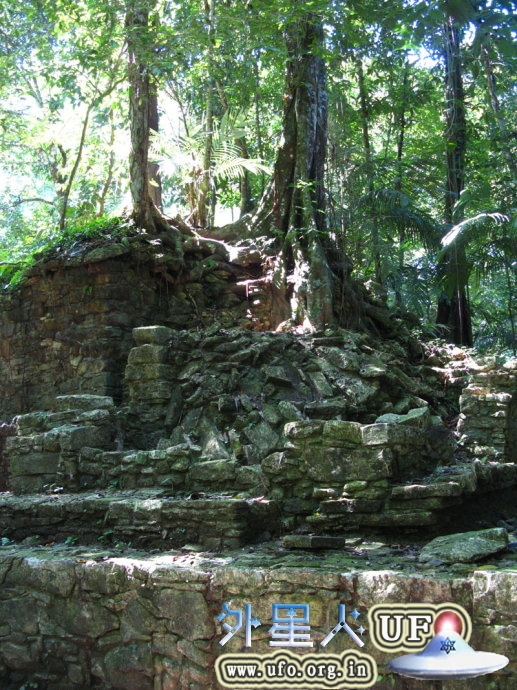 16-maya-palenque-palace-ruins