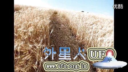 2014年10月26日UFO制造的巴西麦田怪圈视频的图片