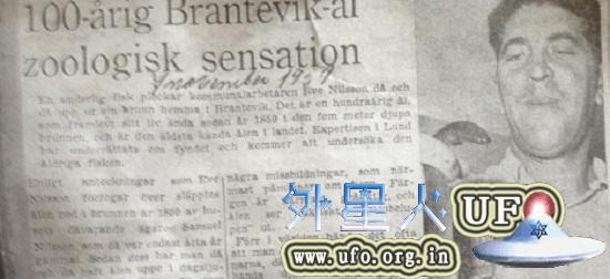 史上最长寿鳗鱼在瑞典去世 年龄已达150岁
