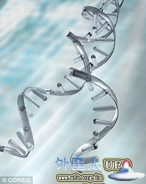 科学家完成家猫全基因组测序