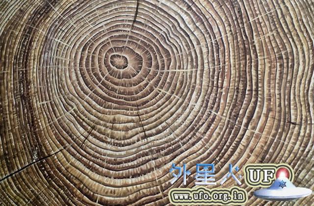 树木年轮是一本记录气候变化的“历史书”