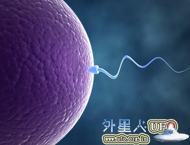 手机放入裤兜可能会降低精子活性