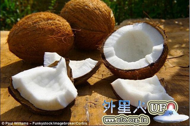 椰子可存储氢气用于制造新一代氢动力汽车