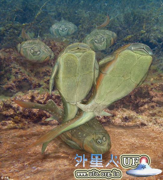 科学家称动物性交配行为源自4.3亿年前