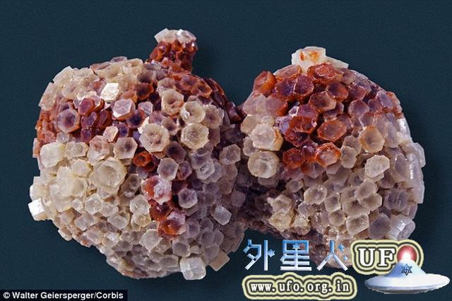 科学家在地下20公里处发现远古生命迹象