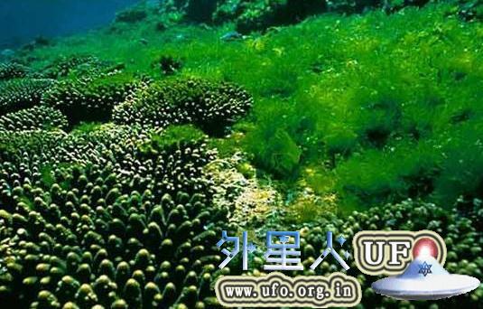 科学家发现能改变人思维的病毒