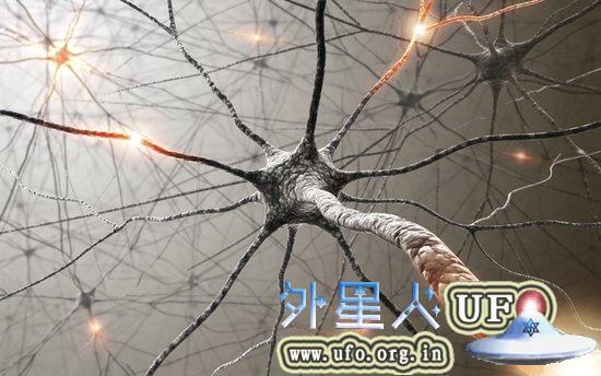 研究人员成功在老鼠身上验证神经元改编技术