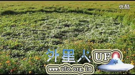 2014年11月23日荷兰麦田圈的图片