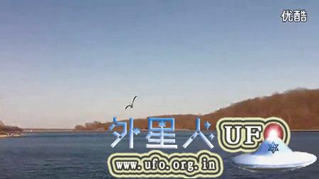 2015年1月7日湖面上快速飞过的不明生物的图片
