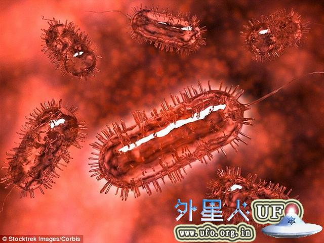 人体内大肠杆菌可制造丙烷有望替代传统燃料