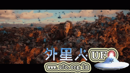为什么使画面流畅度和动作清晰度大大增强的 48 FPS 拍摄和放映技术会让观众觉得没有电影感？ 第3张