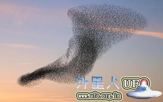 世俗和宗教节日、体育比赛、音乐会、逃难、赶地铁、学校下课，这些都可能成为踩踏事故的发生条件。 第1张