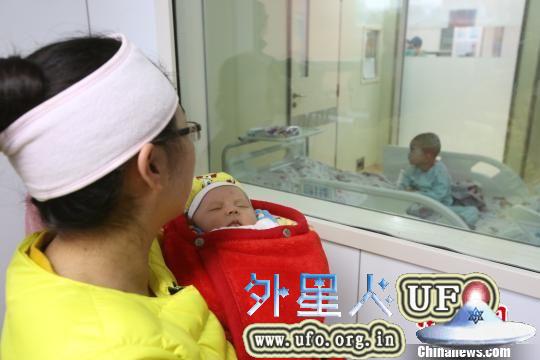 资料：满月小宝脐带血造血干细胞成功挽救四岁哥哥生命。 第2张