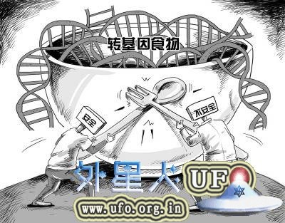 京华时报漫画