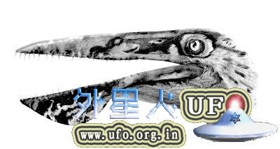 阿凡达伊卡兰翼龙头部复原图。赵闯绘 第1张