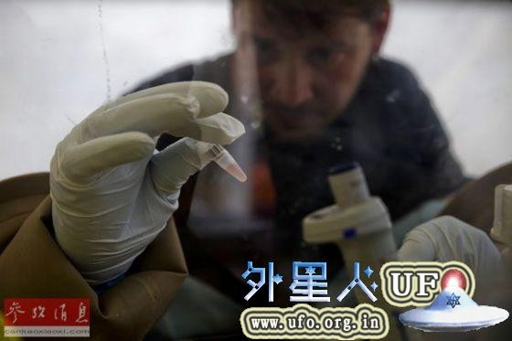 2014年4月3日，在几内亚盖凯杜，一名科研人员手持埃博拉病毒样本进行检测。（资料图）