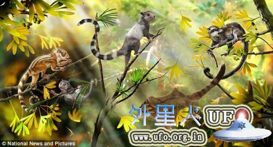 复原想象图，展示最新发现并命名的3种生活在侏罗纪森林中的早期哺乳动物。 第3张