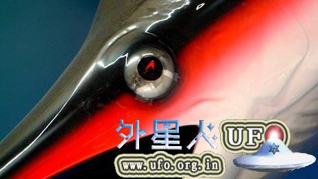 史蒂芬森买的那条旗鱼标本现在被挂在了麦克劳伦公司的墙上作为纪念。