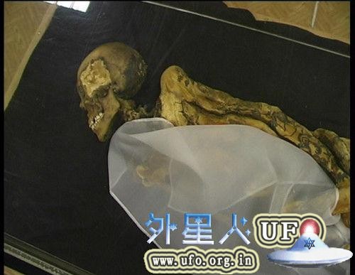 1993年，俄罗斯考古学家在阿尔泰山脉的一处巨大冰盖中发现了一具至今2500多年的女性干尸。这具尸体在冰盖中保存完好，甚至连皮肤上的纹身都清晰可见。 