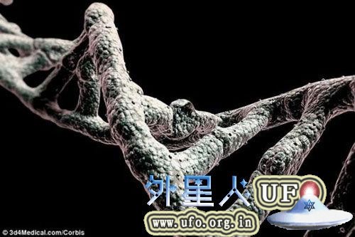 资料图片：人类基因