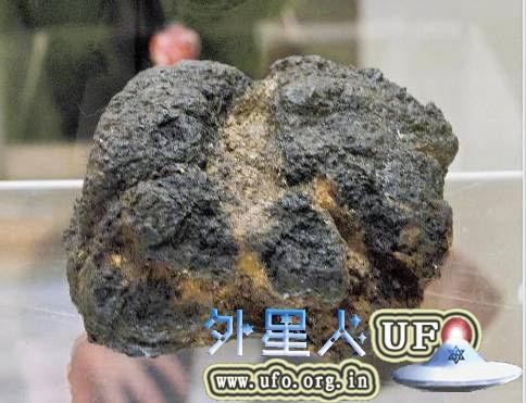 此次展出的饭团化石