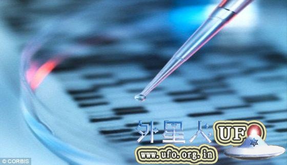 科学家首次在实验室内培育出小型功能性人胃。这将有望帮助他们解开人胃的奥秘。 第1张