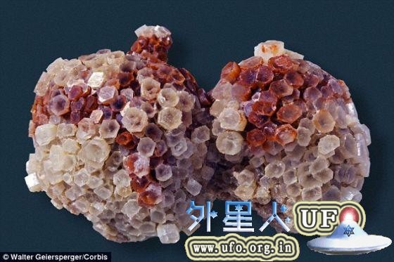 耶鲁大学科学家发现古老地下生命证据。他们在最初位于地下12英里的岩石中发现一种叫文石的矿物。一种特殊的碳同位素混合物意味着这种文石来自微生物制造的地下甲烷。 第1张