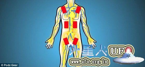 这种上衣有各种颜色，例如绿色、蓝色、红色或黑色等。另外，它的热插入物还可用从汽车修理厂和超市买到的暖手宝取而代之。口袋在人体(照片显示)上均匀散热，确保它们在各种情况下保持温暖。 第2张