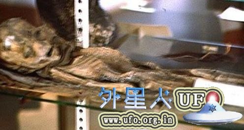 美国51区发现外星人尸体是真的吗？最新51区外星人尸体照片大解密 第1张
