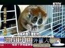 关键时刻20121221【全】