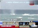 关键时刻20130528-可怕的食品安全邪恶食物帝国孟山都 关键时刻20130528-可怕的食品安全邪恶食物帝国孟山都