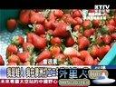 关键时刻20130613完整版