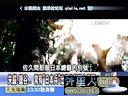 关键时刻20130919-台湾大浦强拆闹出人命县长被扔鞋