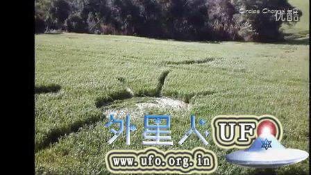 2015年7月27日巴西麦田圈(Chopinzinho_ Paraná) 2015年7月27日巴西麦田圈(Chopinzinho_ Paraná)