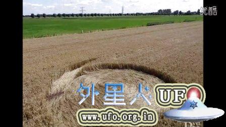 2015年7月31日荷兰Hoeven麦田圈 2015年7月31日荷兰Hoeven麦田圈