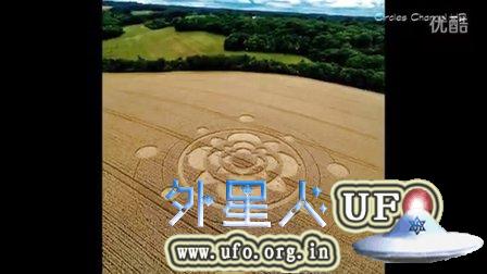 2015年7月29日英国麦田圈Furzefield Shaw Nr Merstham Surrey