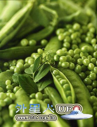 冬季如何降血脂的图片 第2张