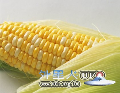冬季如何降血脂的图片 第2张