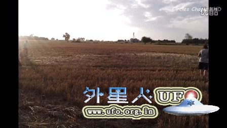 2015年11月7日阿根廷麦田圈 - 外星人UFO真相_说飞碟探索ET外星人_揭秘不明飞行物之谜的网站