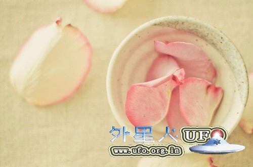 这样吃红枣才能补血(图)的图片 这样吃红枣才能补血(图)的图片