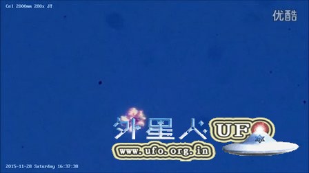 2015-11-28佛罗里达彩色光团的图片