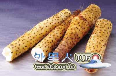 冬季如何煲汤 加山药陈皮更健康的图片