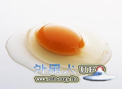 补充蛋白质 年轻人一天最好只吃半个蛋黄的图片 补充蛋白质 年轻人一天最好只吃半个蛋黄的图片