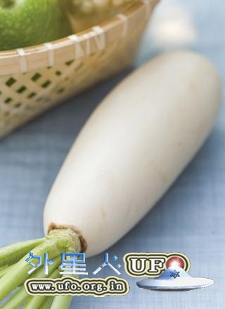 白萝卜越辣防癌效果越好的图片 白萝卜越辣防癌效果越好的图片