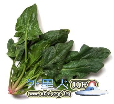 芥菜补钙胜牛奶 4款蔬菜补钙食谱 - 外星人UFO真相_说飞碟探索ET外星人_揭秘不明飞行物之谜的网站 芥菜补钙胜牛奶 4款蔬菜补钙食谱 - 外星人UFO真相_说飞碟探索ET外星人_揭秘不明飞行物之谜的网站